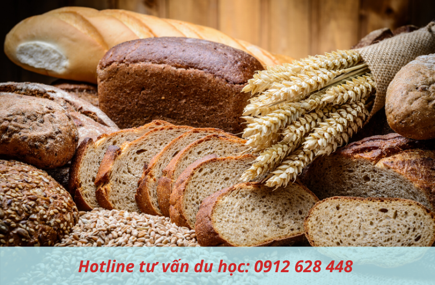Lý do du học nghề làm bánh tại Đức