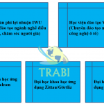doi-tac-trabi–tai-duc