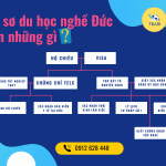 Hồ sơ du học nghề Đức cần những gì