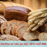 Lý do du học nghề làm bánh tại Đức