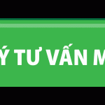 du hoc nghe duc trabi