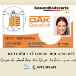 bao hiem cho du hoc sinh duc