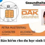 bao hiem y te hanse merkur cho du hoc sinh duc