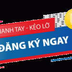 du hoc nghe duc voi trabi