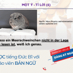 Chia sẻ phương pháp học tiếng Đức cùng Trabi