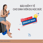 Trabi tháng thángg11