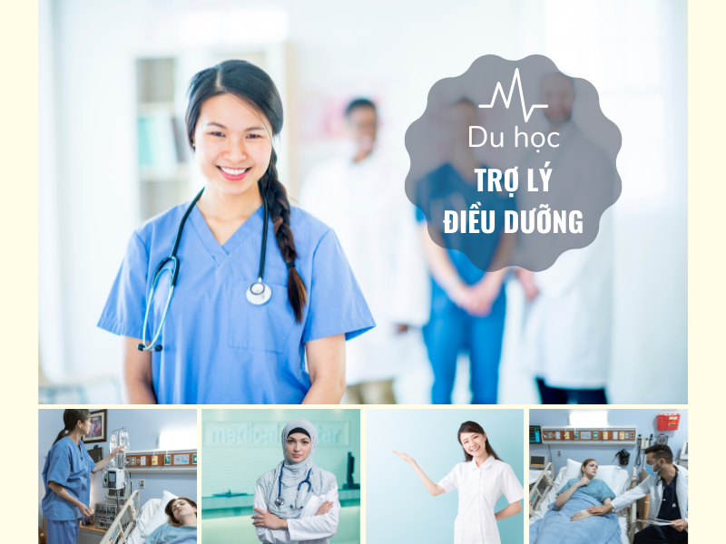 du học nghề trợ lý điều dưỡng tại đức
