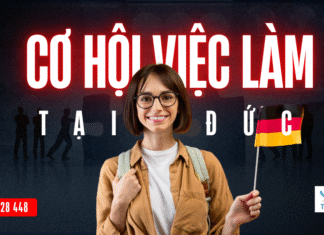 Cơ hội nghề nghiệp tại Đức cho du học sinh 2025: Mở ra tương lai vững chắc cơ hội việc làm tại Đức