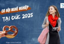 Cuộc sống du học tại Đức: Những điều cần biết trước khi đi