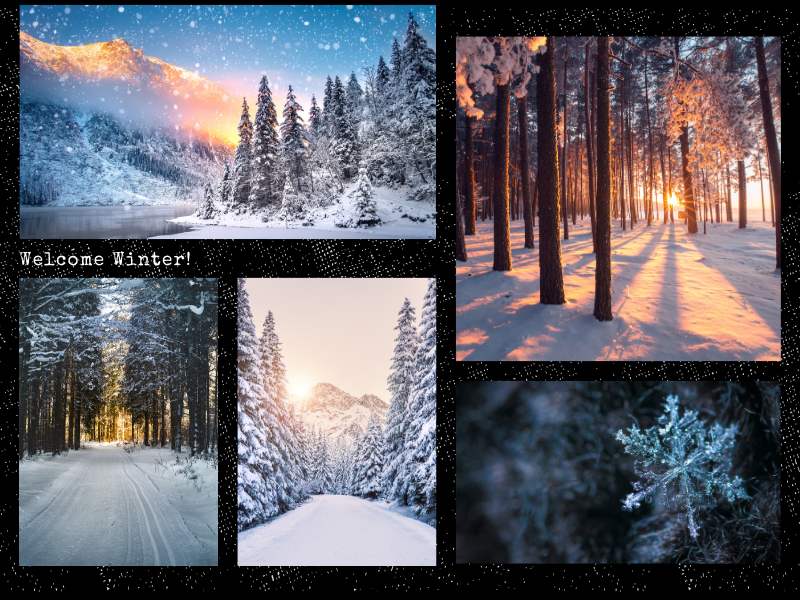 Cuộc sống du học tại Đức mùa đông