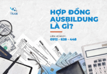 Hợp đồng ausbildung là gì