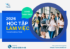 Học tập và làm việc tại Đức: Cơ hội phát triển sự nghiệp cho thế hệ trẻ Việt Nam học tập và làm việc tại Đức