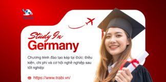 Chương trình đào tạo nghề tại Đức: Điều kiện, chi phí và cơ hội nghề nghiệp sau tốt nghiệp chương trình đào tạo nghề tại Đức