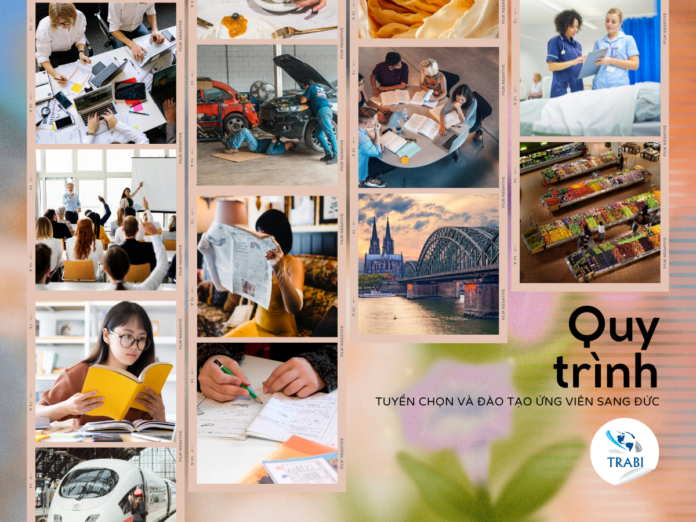 Quy trình tuyển chọn và đào tạo ứng viên sang Đức