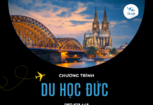 Chương trình đào tạo tại Đức: Top 3 lộ trình bứt phá sự nghiệp hot nhất 2026 chương trình đào tạo tại Đức