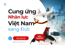 cung ứng nhân lực việt nam sang đức