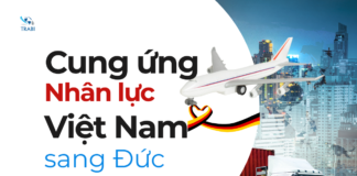 Dịch vụ cung ứng nhân lực Việt Nam sang Đức – Quy trình & Báo giá minh bạch 2026 cung ứng nhân lực việt nam sang đức