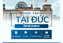 Học tập – Làm việc – Định cư tại Đức: Lộ trình 3 bước mở ra tương lai mới 2026 Học tập, làm việc, định cư tại Đức